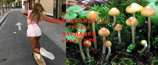 метадон Вязьма