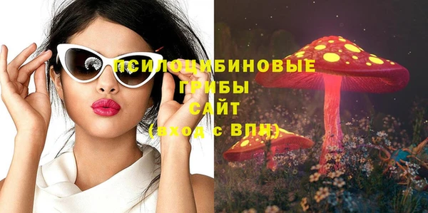прущий лед Горняк