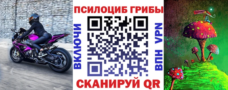 Галлюциногенные грибы Psilocybe  хочу наркоту  Чусовой 